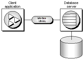 A client connection to a database, showing the client application, the interface library, and the database server running the database.