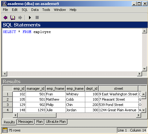 A result set displayed in Interactive SQL.