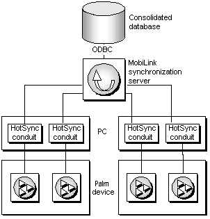 HotSync architecture, showing UltraLite databases on Palm devices, MobiLink HotSync conduits on the desktop computer, and a MobiLink synchronization server on a server.