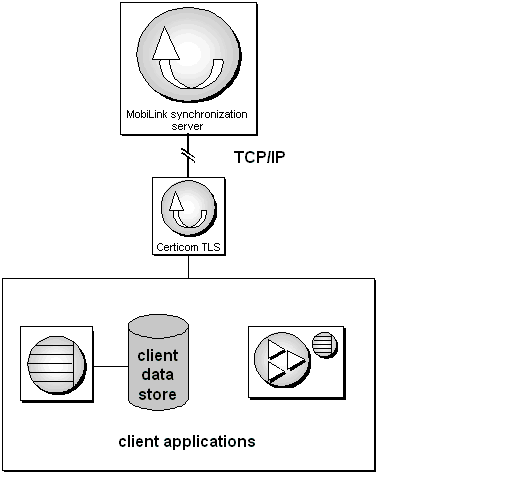 Transport-layer security architecture.