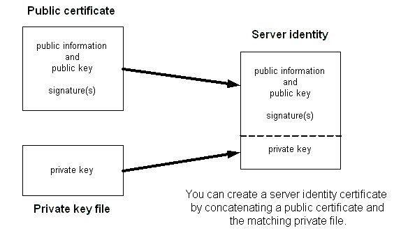 Public key and private key information to create a server identity certificate.